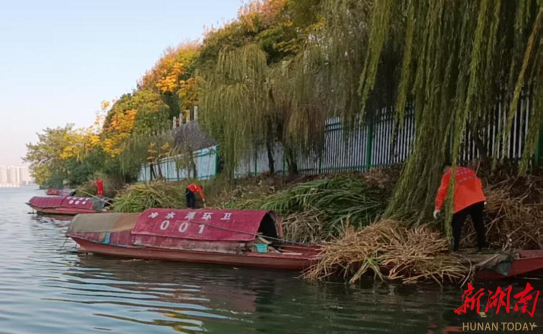  永州市冷水滩区扎实推进湘江水域环境优化专项整治行动