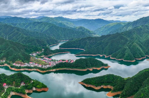 “一码”举报生态环境违法行为  最高奖励20万元