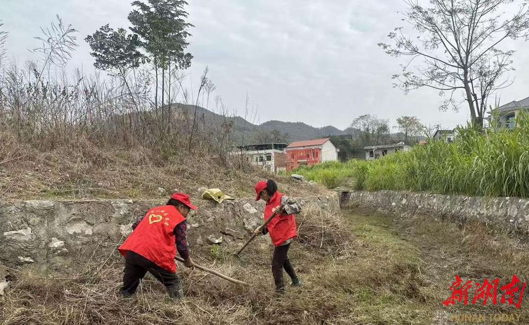 斗笠山镇开展全域环境卫生集中整治行动