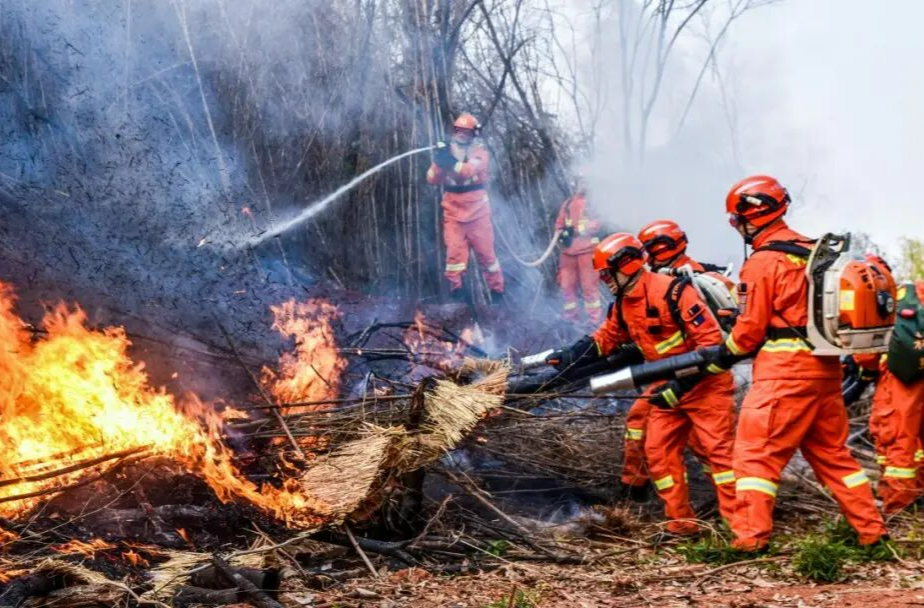 长沙消防救援机动支队筹备组扎实推进森林防灭火能力建设