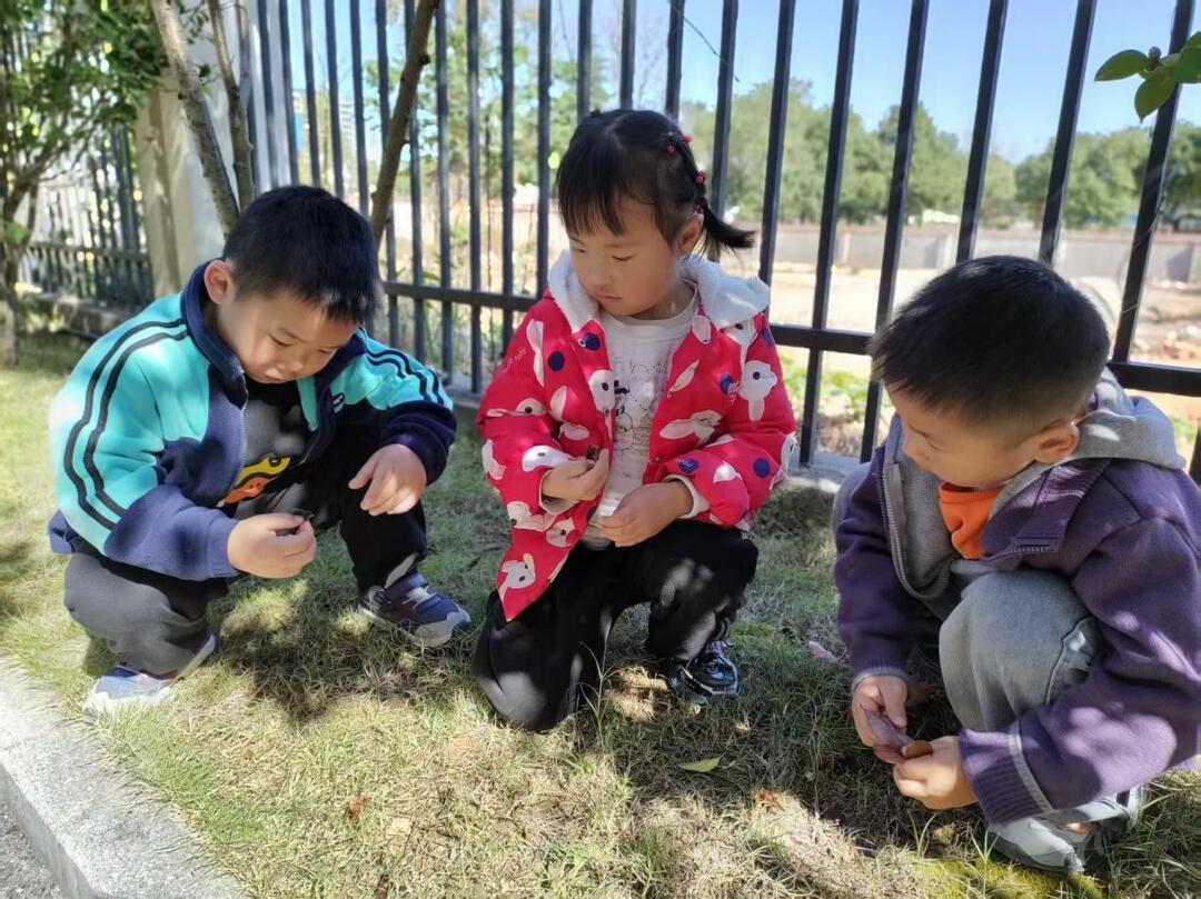 怀化市鹤城区第二幼儿园以大雪节气实践深耕传统文化浸润