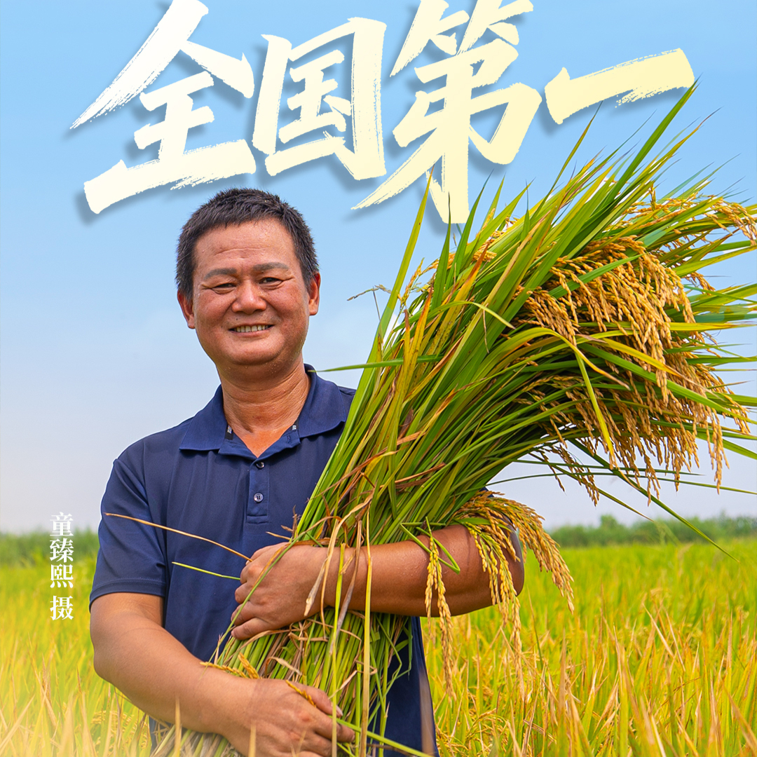 海报丨鱼米之“湘”的丰收新答卷