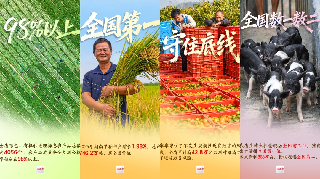 海报丨鱼米之“湘”的丰收新答卷