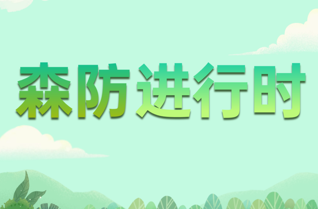 以练为战！娄底举行森林防灭火应急演练