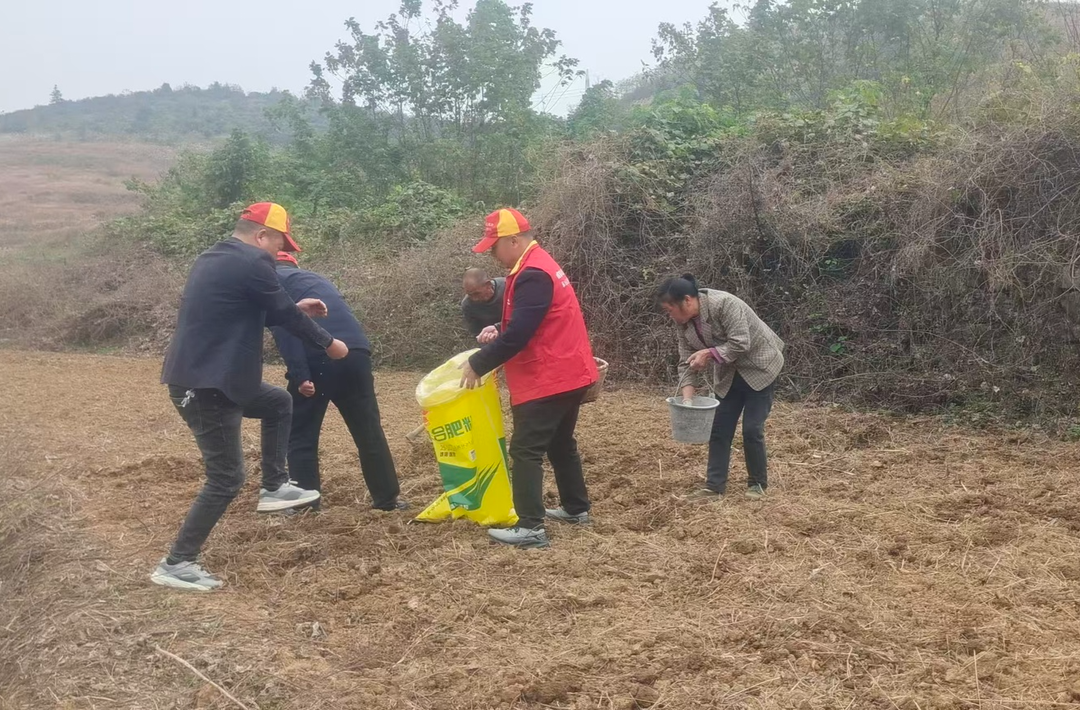 用金“药”匙打开致富门，国网耒阳市供电公司持续帮扶马形村产业发展