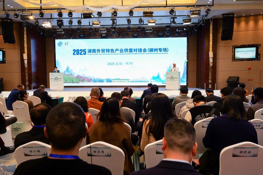 2025湖南外贸特色产业供需对接会（郴州专场）成功举办
