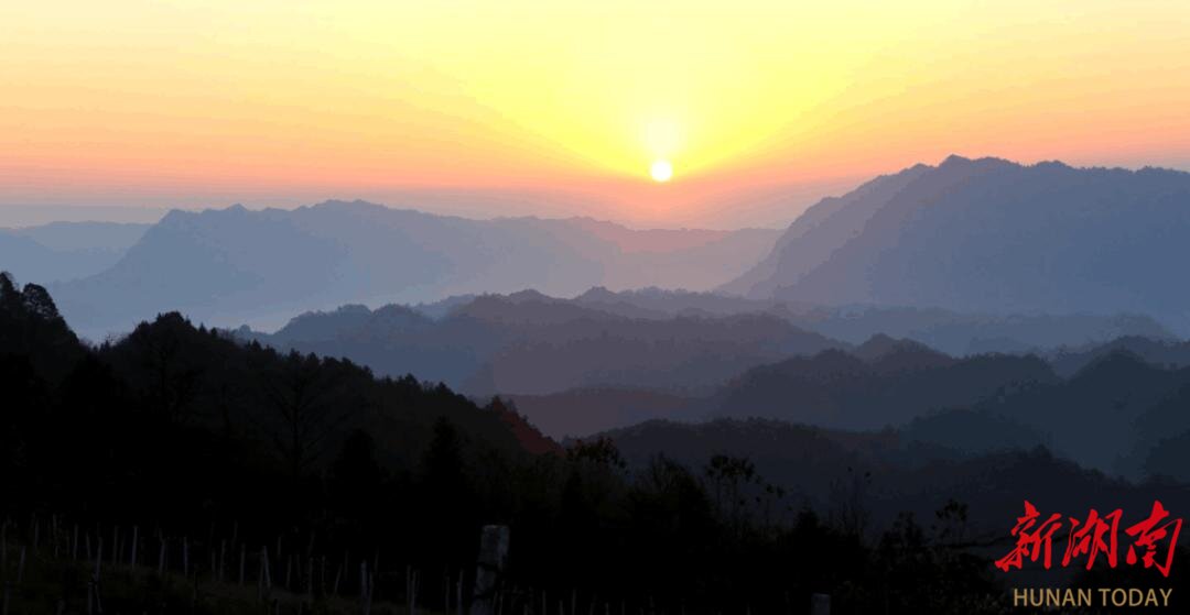 美文欣赏丨高坪深处觅桃源