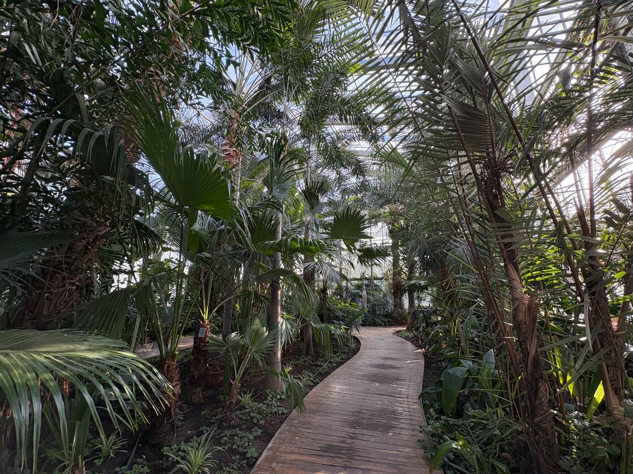 超适合冬日遛娃，北京室内“热带雨林”攻略请收好