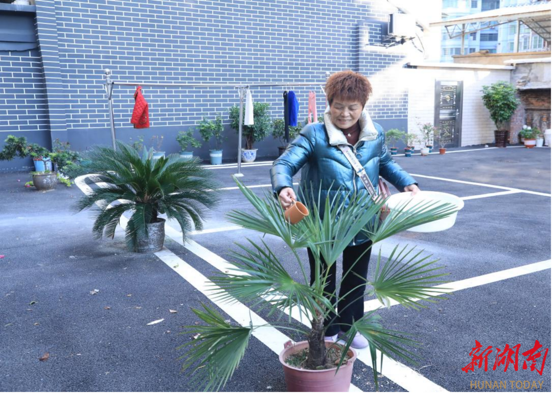 我们的“十四五”·蒸湘答卷丨蒸湘区：老小区换“新装”，居民日子有“新样”