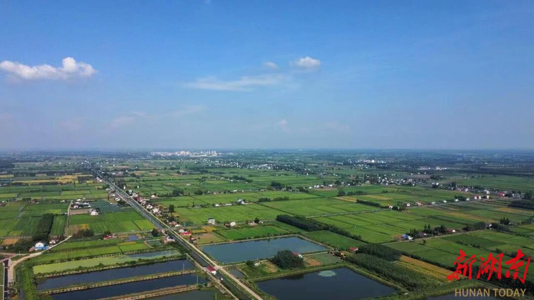 2.26亿元！大通湖区河坝镇生态保护修复与产业融合自然资源资产组合供应项目成功交易