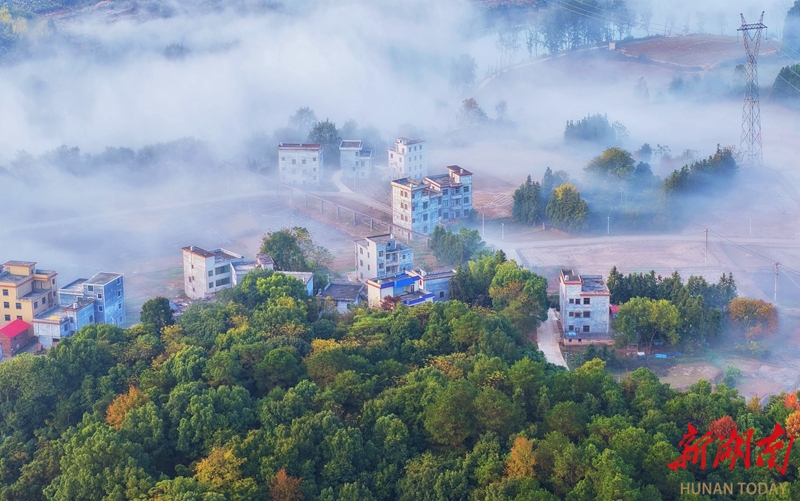 图集|晨雾弥漫 如梦似幻