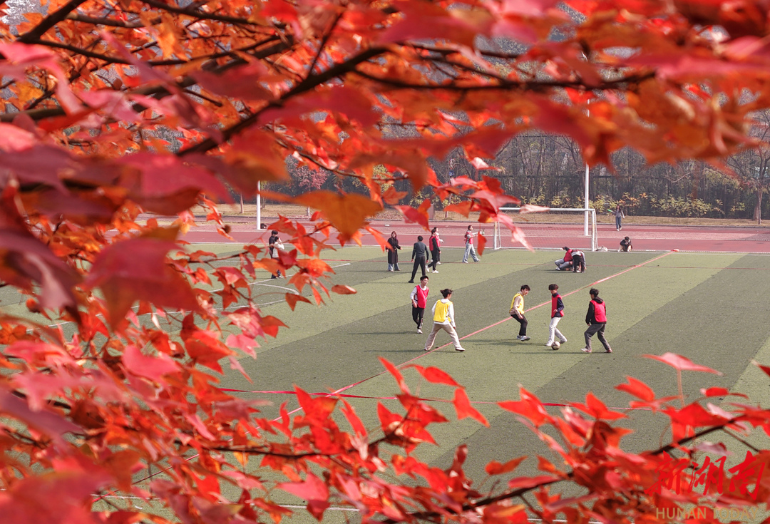 青春跃动运动场