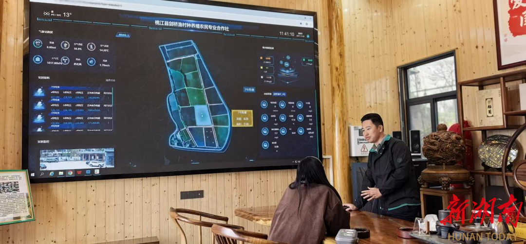 智慧渔业让桃江新农人刘伟告别“人盯塘”，坐在屋里就能管好24个鱼塘