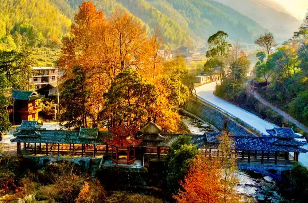 图集：侗乡枫叶红
