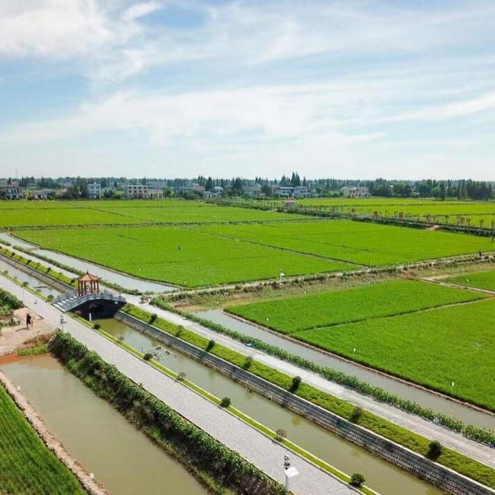 金融潮涌向“新”行——建行湖南省分行以高质量金融服务助力中部崛起