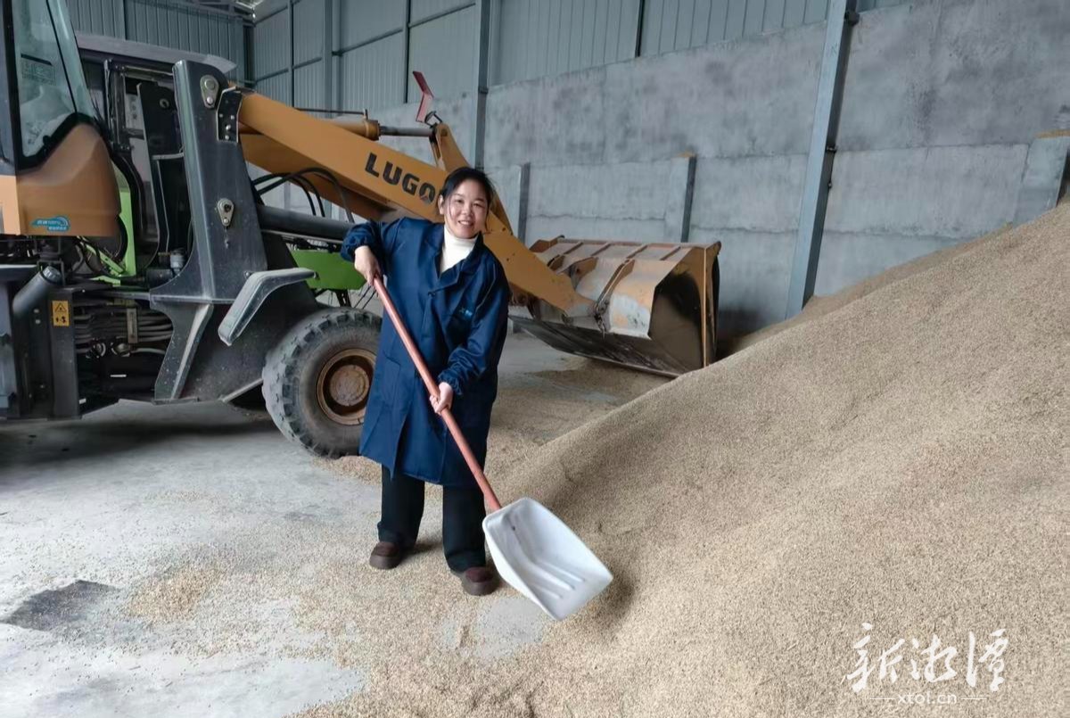 群英渠边的女强人——记湘潭县锦石乡文佳村红少爷家庭农场主吴曼