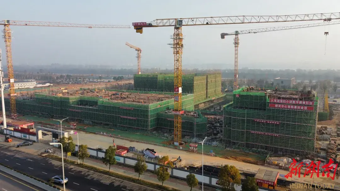 大泽湖海归小镇数字健康科创研发中心项目建设再提速