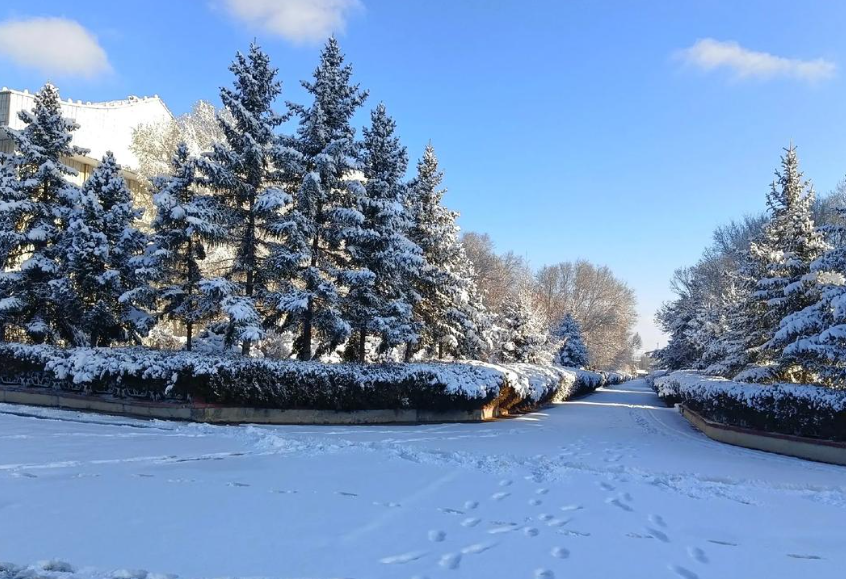 散文 | 冬阳行：南北邂逅的暖笺