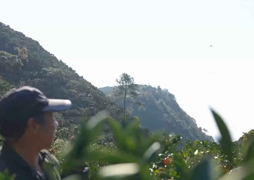 20分钟下山路变2分钟 低空经济给农业带来了哪些改变？