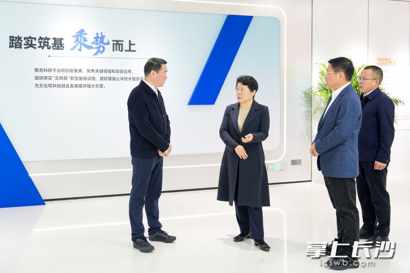 吴桂英调研马栏山视频文创产业园并主持召开座谈会