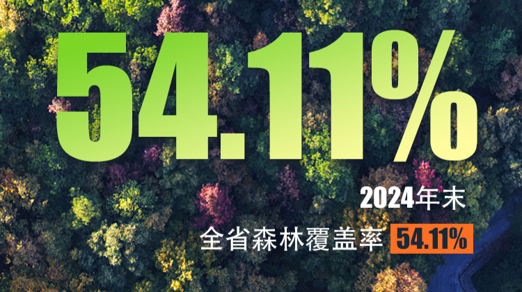 海报｜盘一盘湖南的“绿色家底”