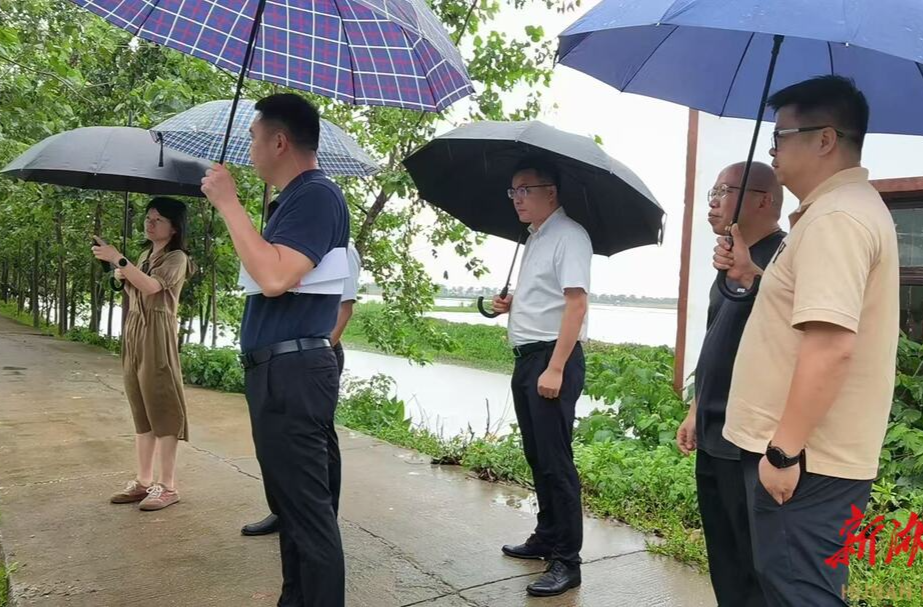 益阳审计以高质量整改促治理效能提升