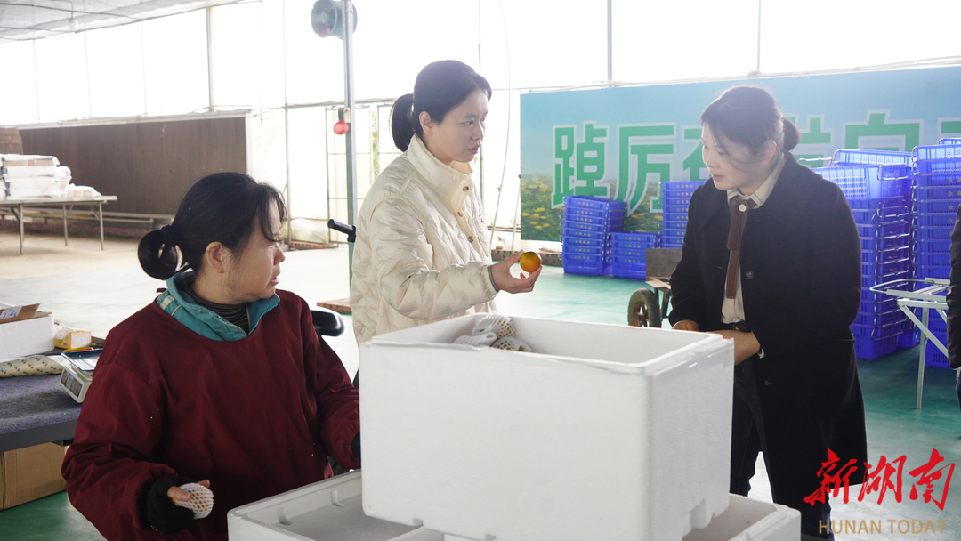 长沙县：筑牢资金“安全网”，护航乡村大振兴