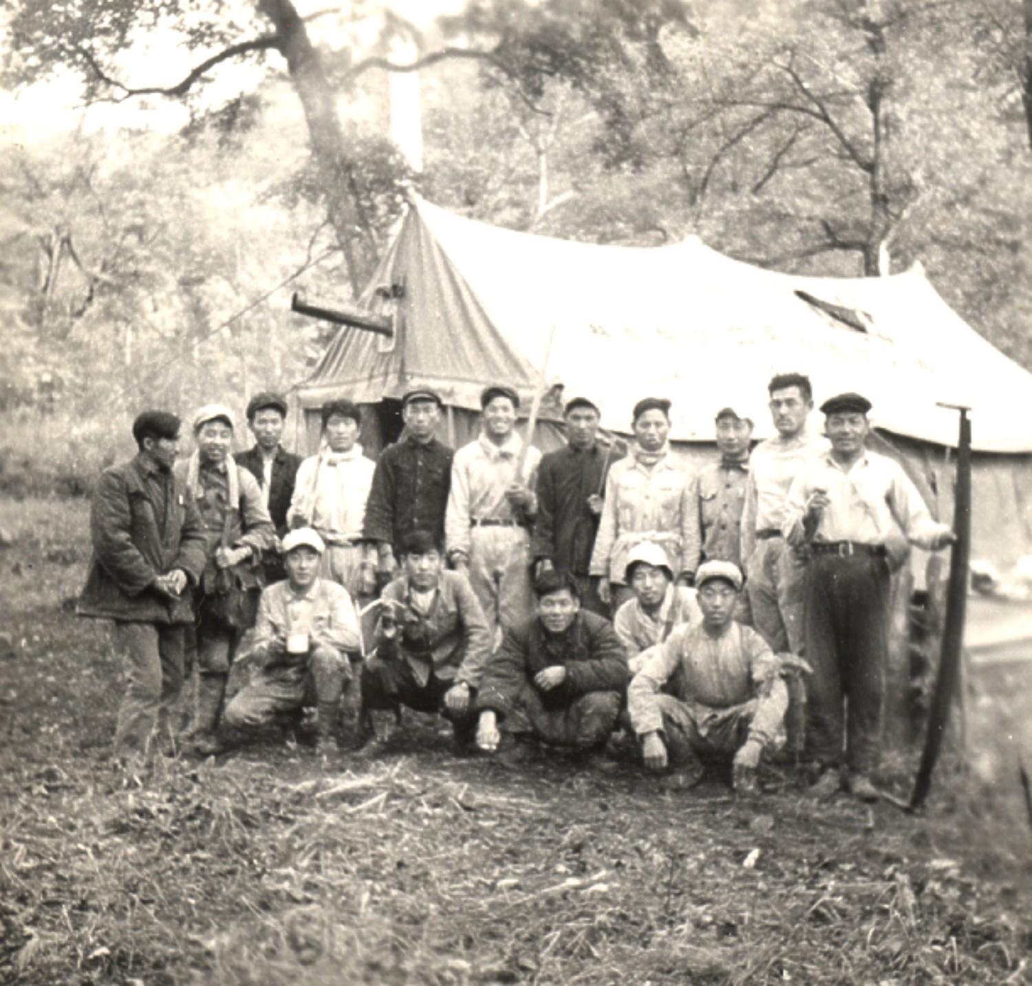 中国林调精神的七十年传承与坚守