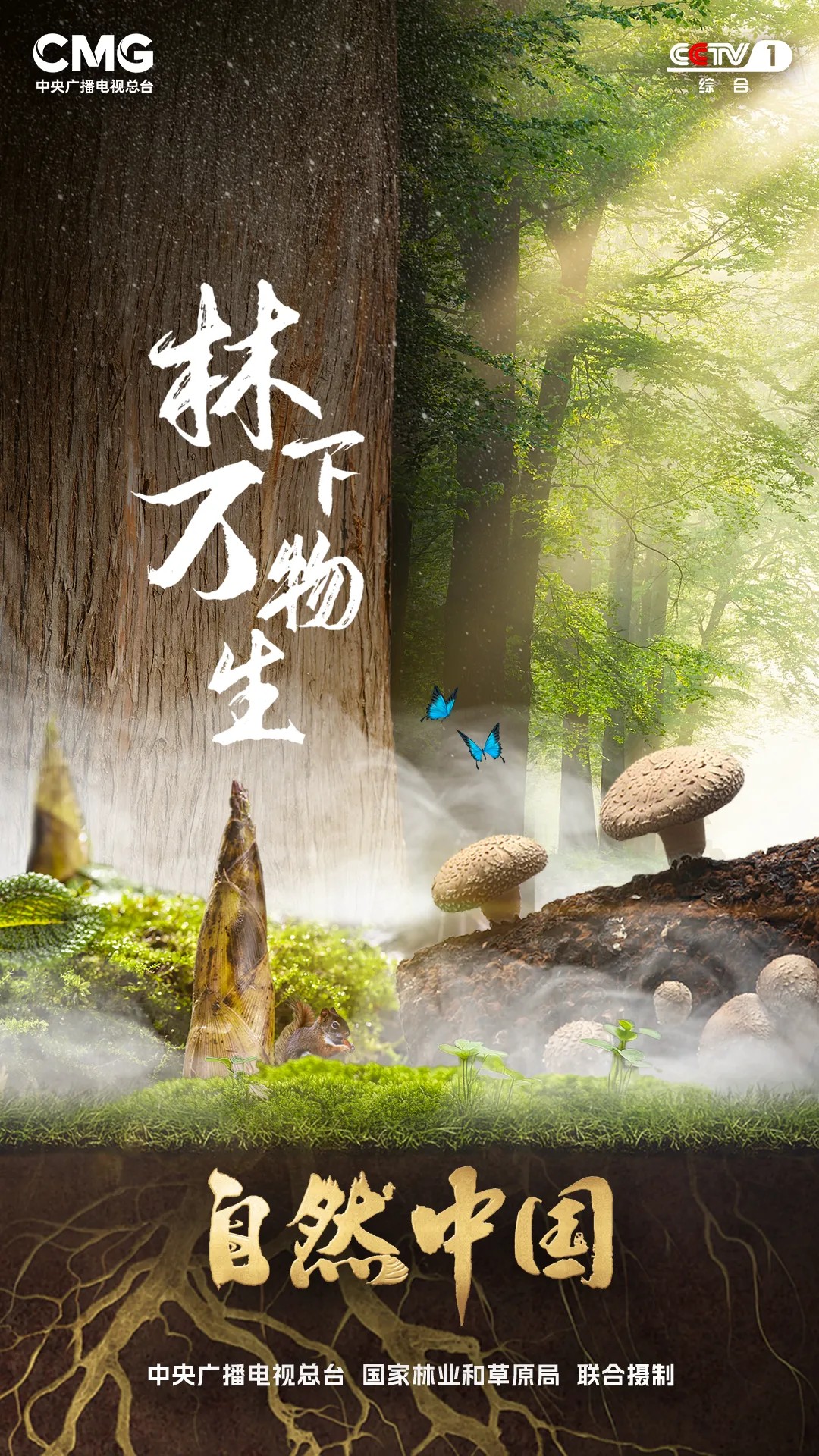 6.5亿亩林地、1万亿产值！林下万物给出的中国答案