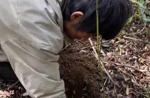 致张家界七星山荒野求生选手及广大“荒野人”的一封信