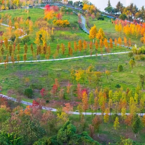 冷水滩：多彩冬日美如画