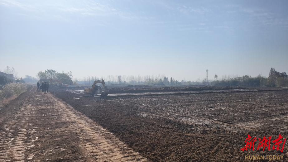 碎田变沃野，南县武圣宫镇新一轮高标准农田建设如火如荼