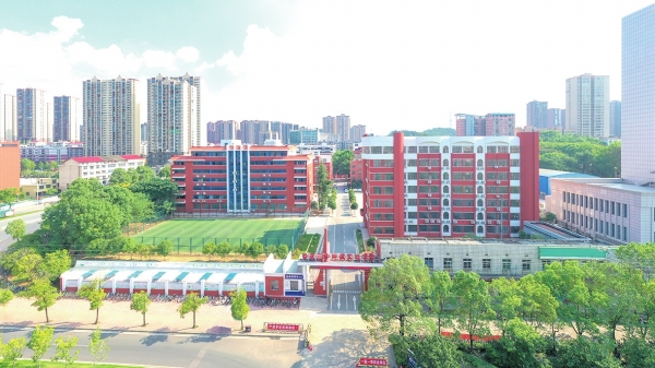 实干担当·娄星篇|春风化雨谱华章@湖南日报