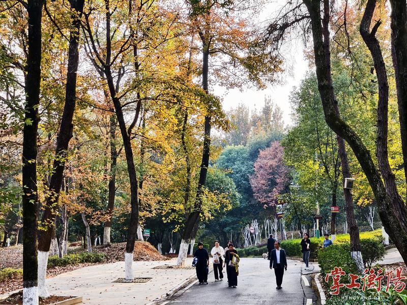 油画质感！南郊公园冬日最暖色上线