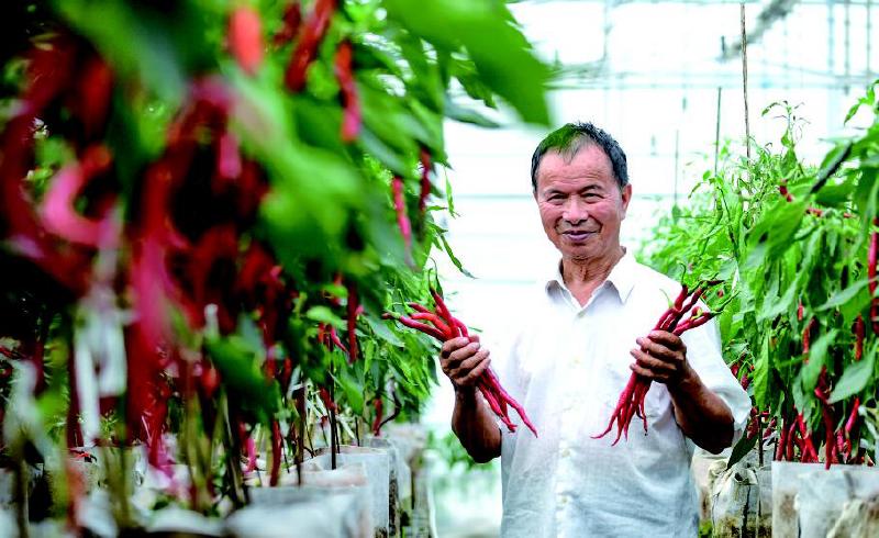 特色产业百花齐放，乡村振兴浏光溢彩