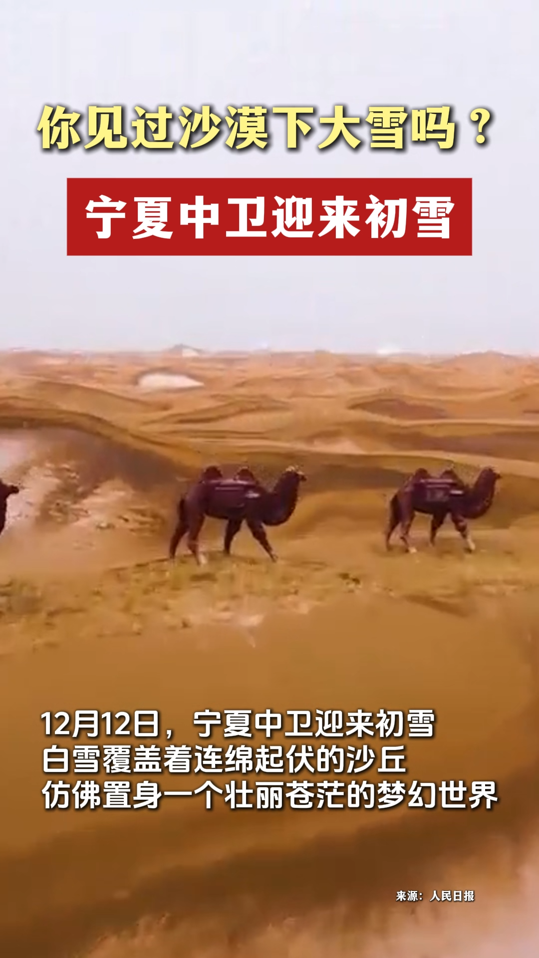 你见过沙漠下大雪吗？宁夏中卫迎来初雪