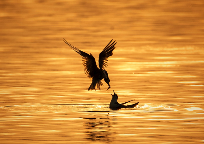 今年冬天火出圈！六年前的检察建议书成就网红打卡点
