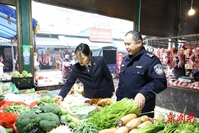 以法治力量护万家灯火——南县人民检察院守护群众食品安全侧记
