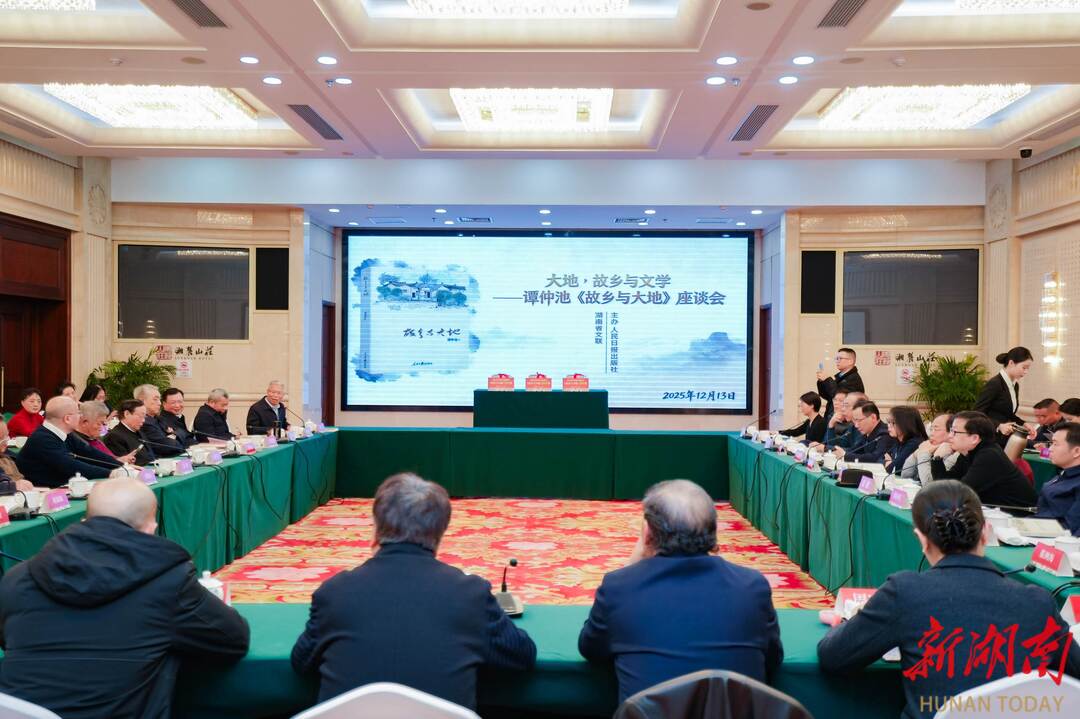 一部写给土地与人民的文学答卷——谭仲池《故乡与大地》座谈会侧记