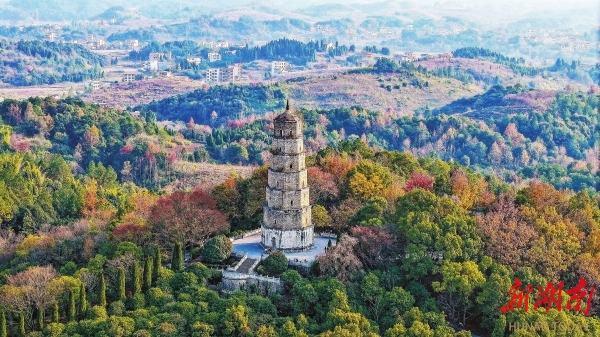 新田：层林尽染映古塔@湖南日报图片新闻