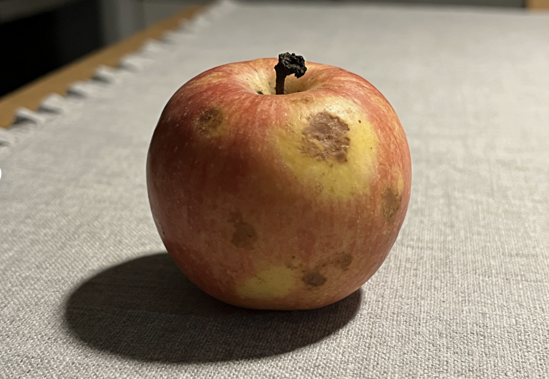 家中6个常见的“节省”习惯，竟藏致癌风险？第3个很多人没注意！