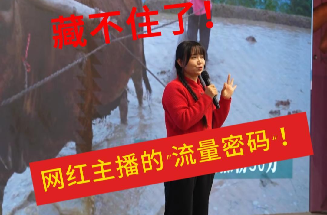 网红主播分享“流量密码”：做别人做不到的……