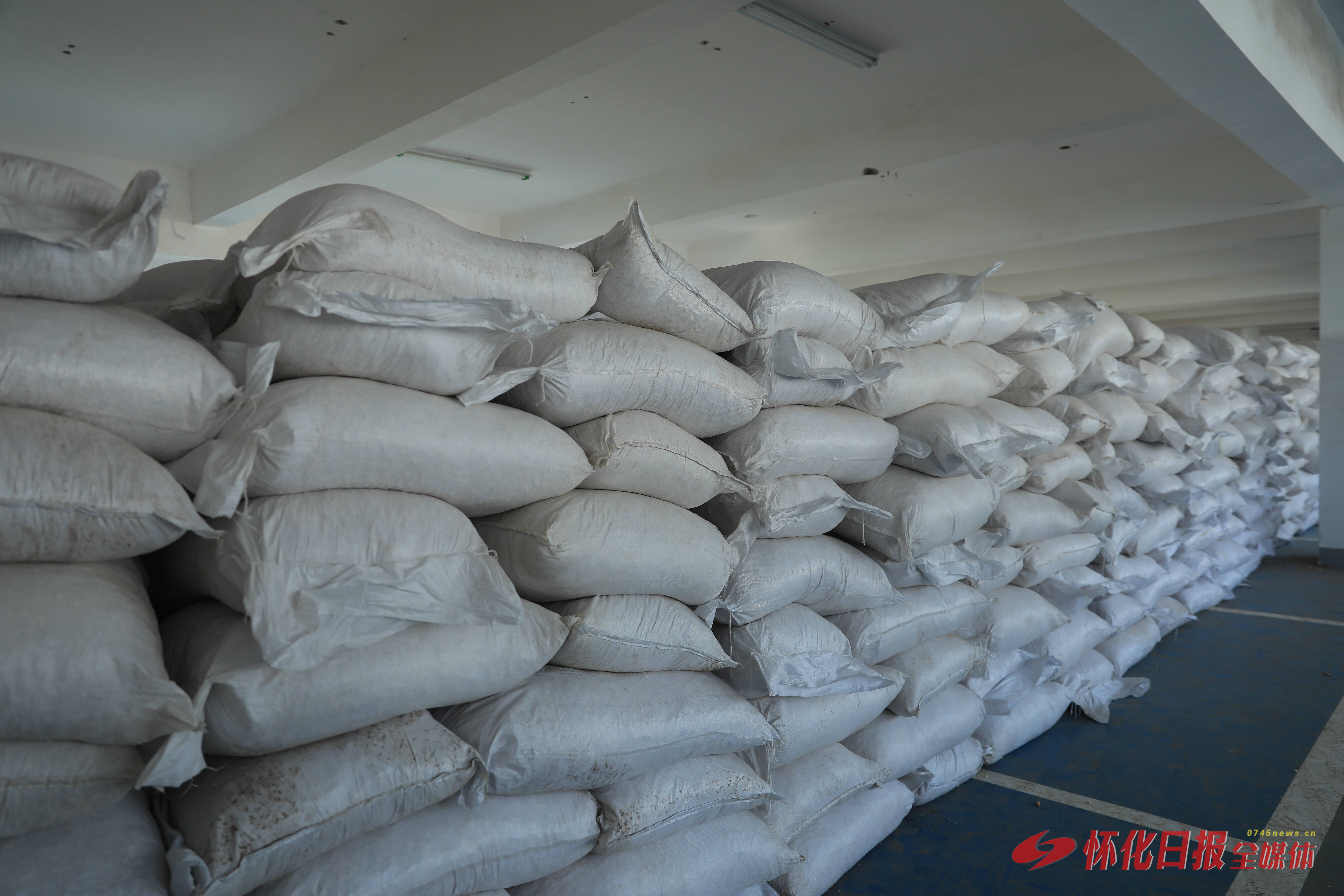 54吨非洲刚果（布）茯苓首次抵靖州 为靖州茯苓产业注入新活力