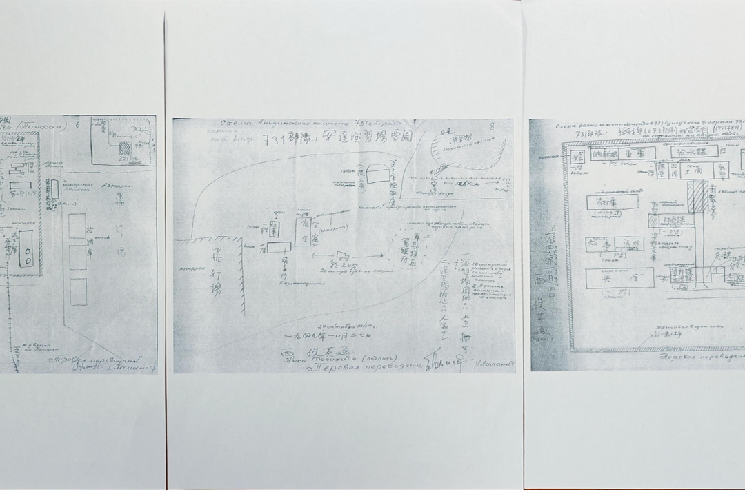侵华日军暴行再添铁证！新一批731部队罪行档案今日公布