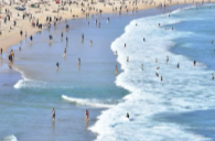 澳大利亚邦迪滩枪击事件已致12人死亡