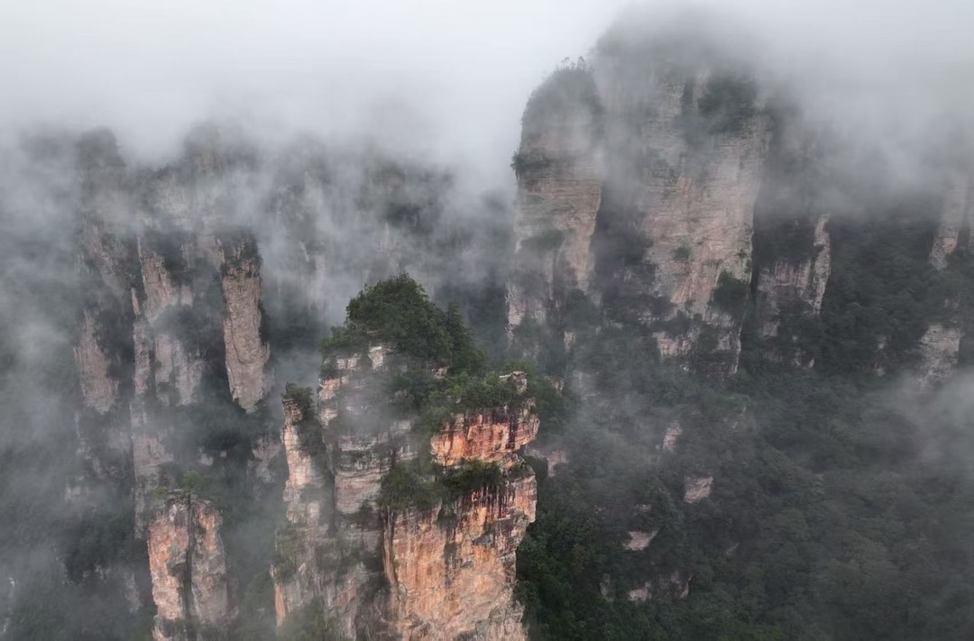张家界新老盟员“年末齐充电”