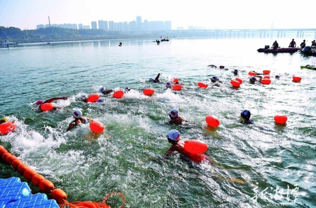 500名冬泳爱好者搏浪湘江