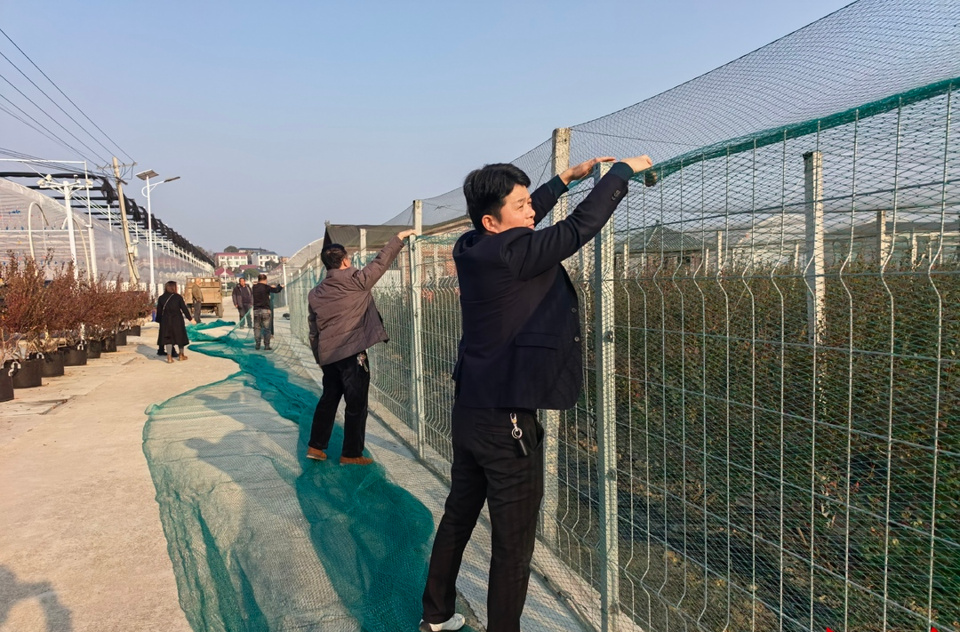 攸县：深入开展“以网换网”护鸟惠民行动   千方百计为鸟儿“网开一面”