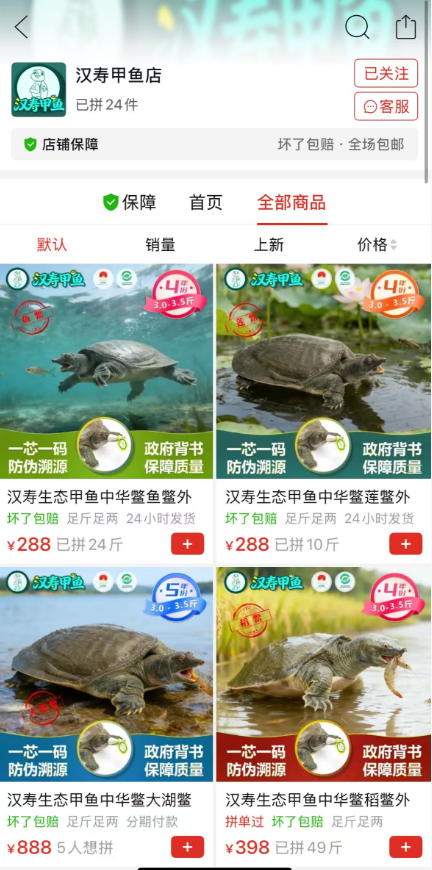 汉寿县供销社携手拼多多 助力汉寿甲鱼“云端”热销