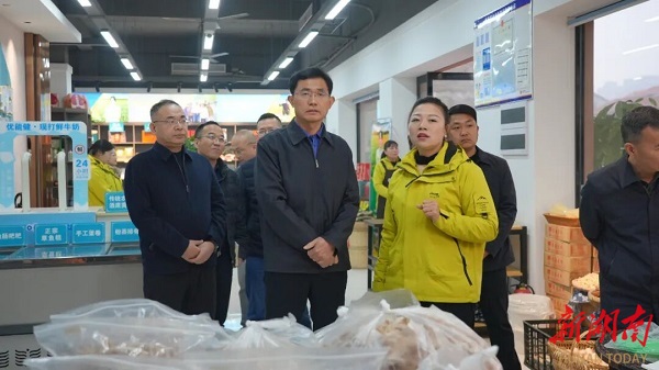 王启武调研电商行业发展